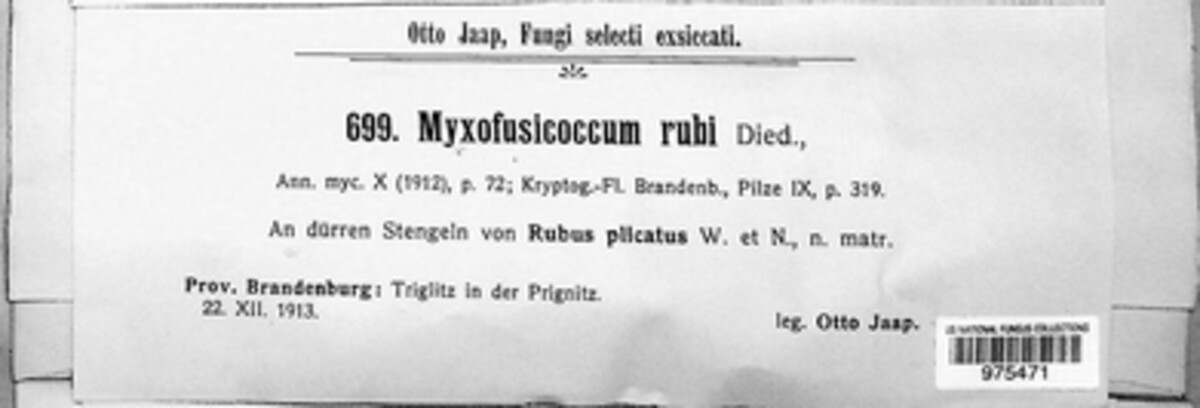 Myxofusicoccum rubi image